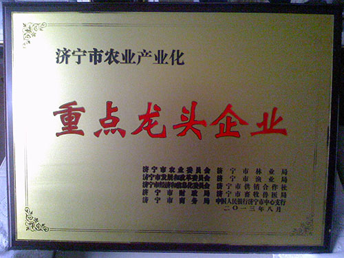 鿴ϸϢ⣺Company Honer Ķ1645